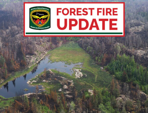 Forest Fire Update for Kenora Area