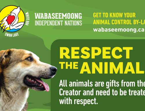 Get to Know Your Animal Control By-Law