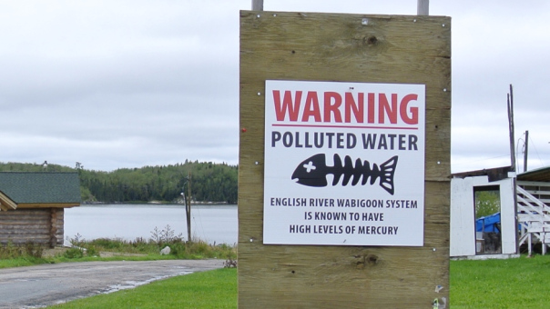 Polluted Water Warning