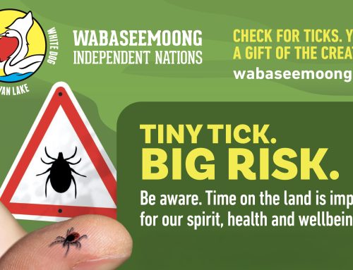 Summer Safety: CHECK FOR TICKS!